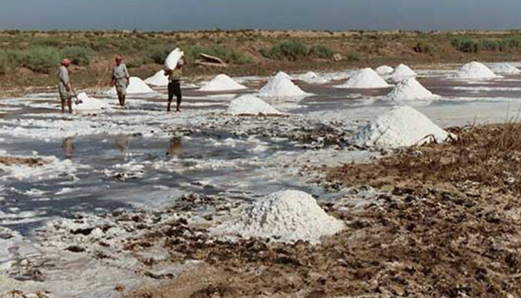 Djilor Pr S De Hectares De Terres Affect Es Par La Salinisation